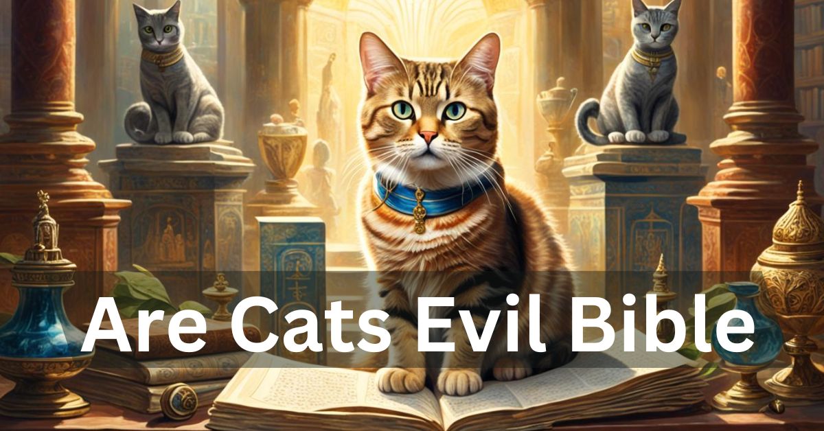 Are Cats Evil Bible