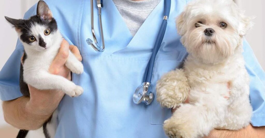 Veterinary Consideration