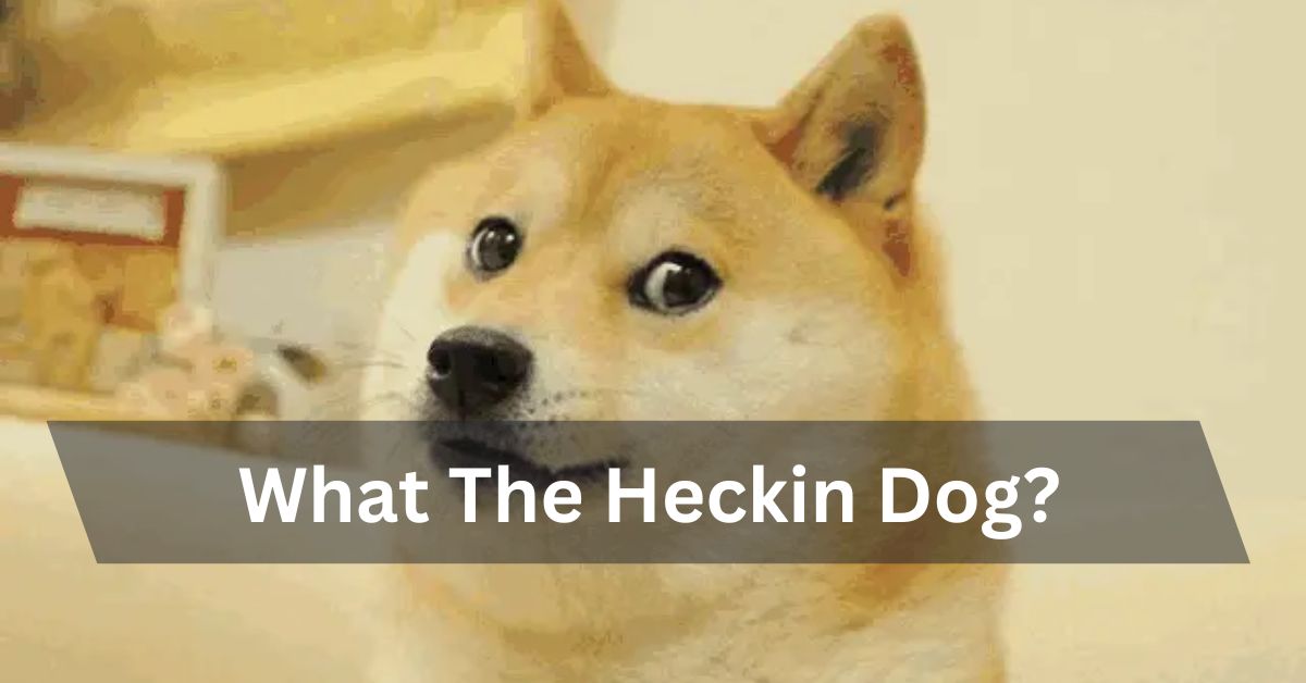 What The Heckin Dog