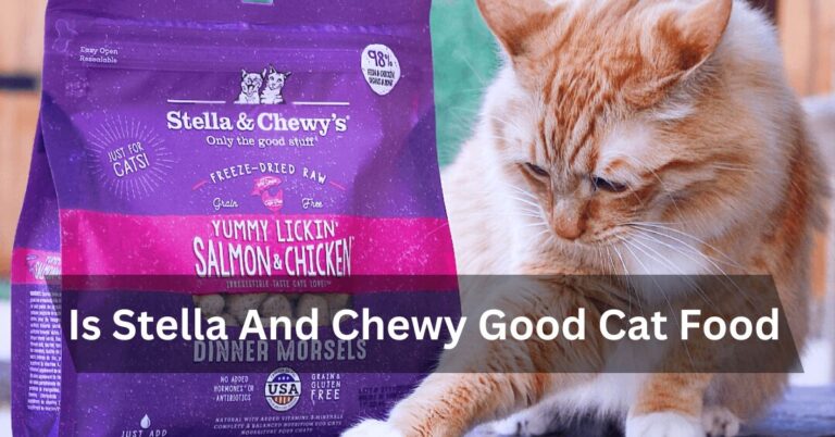 Is Stella And Chewy Good Cat Food