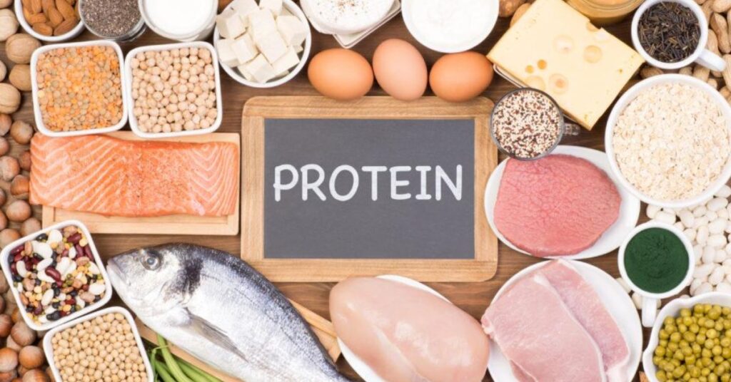 Protein